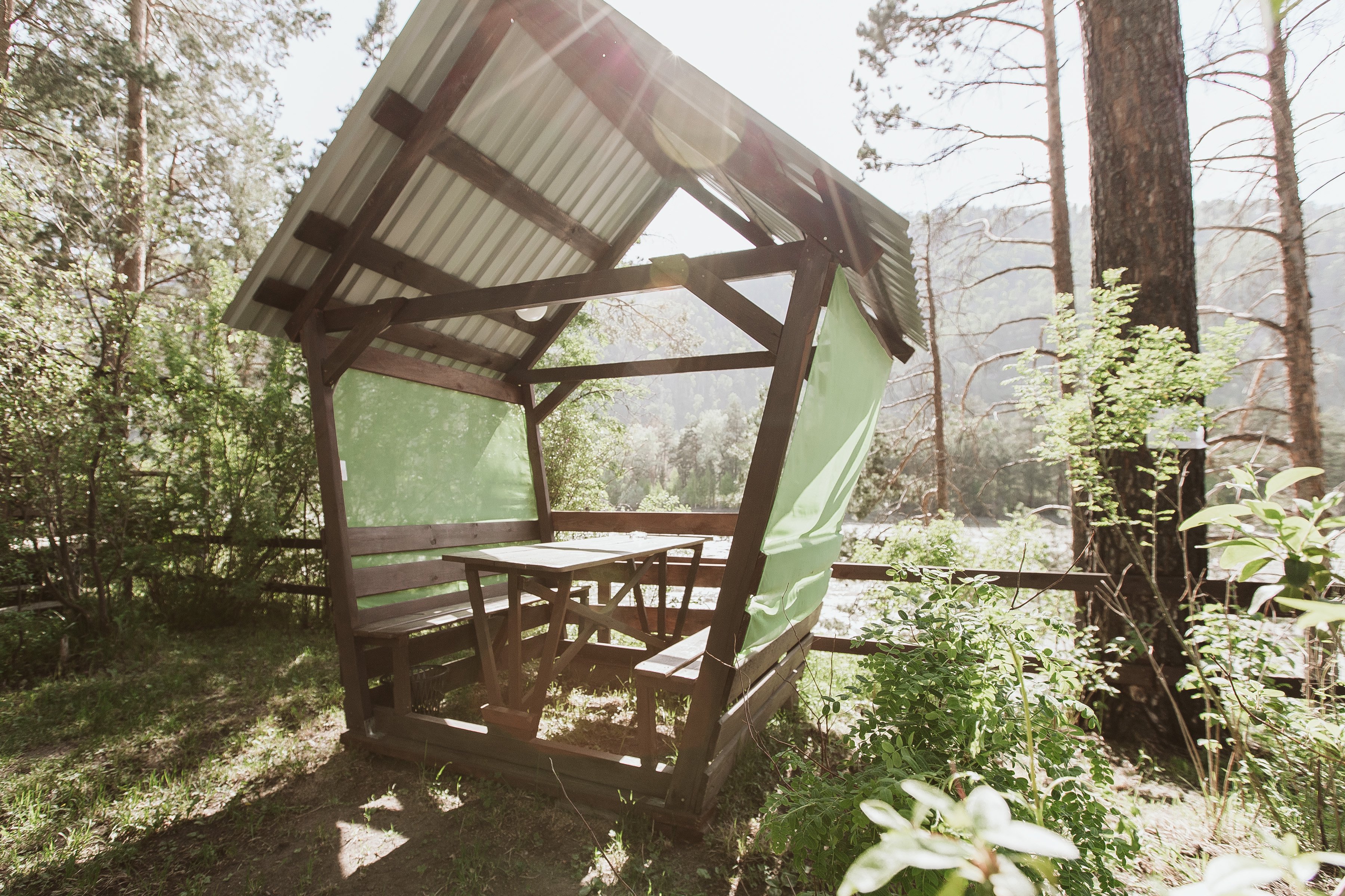 Алтай берег - фото 117