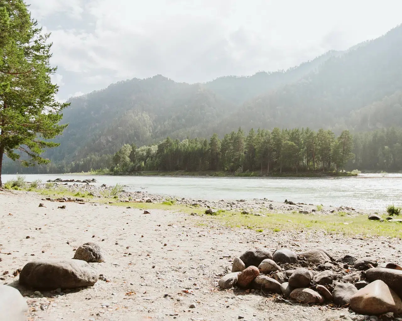 Алтай берег - фото 121