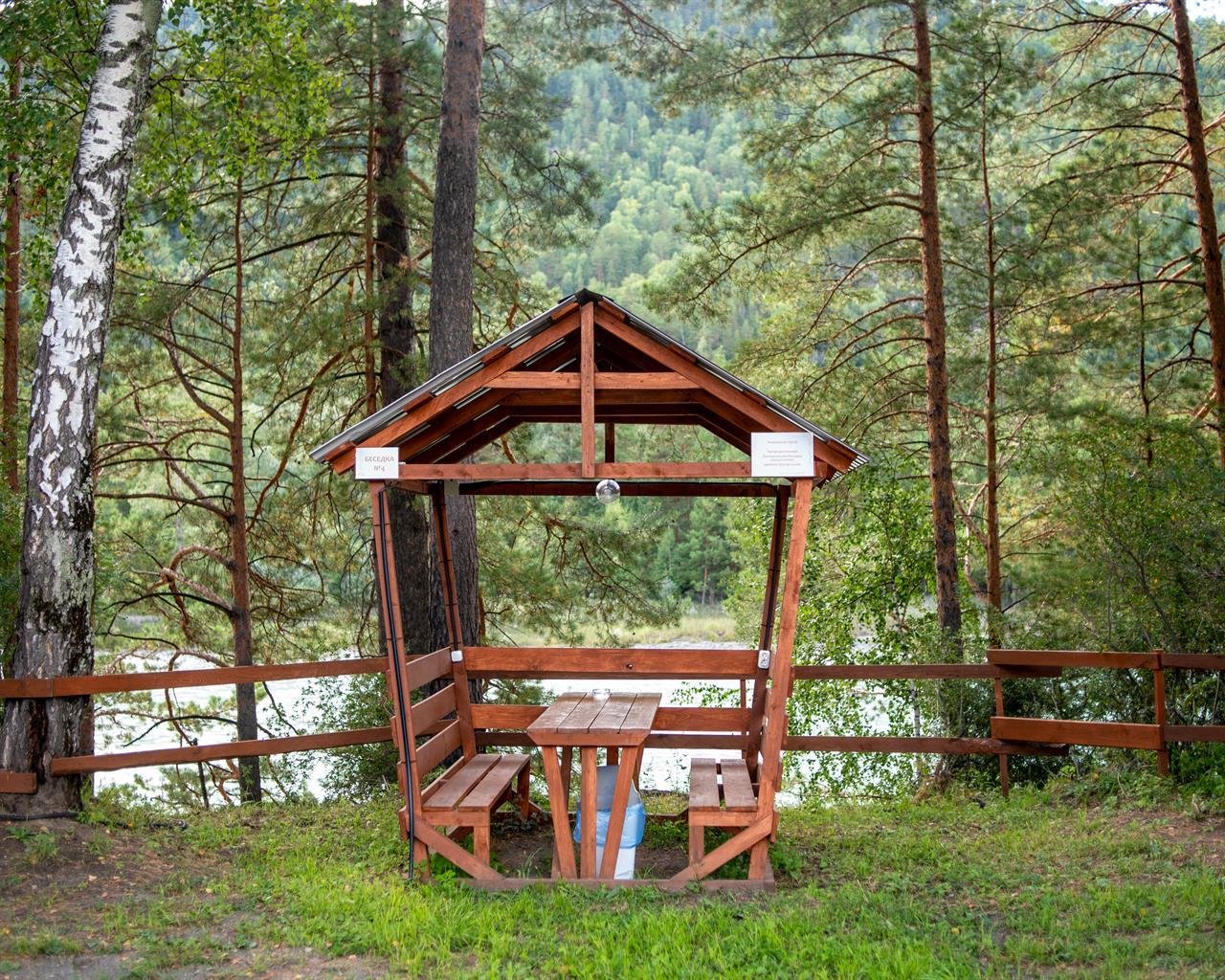 Алтай берег - фото 122
