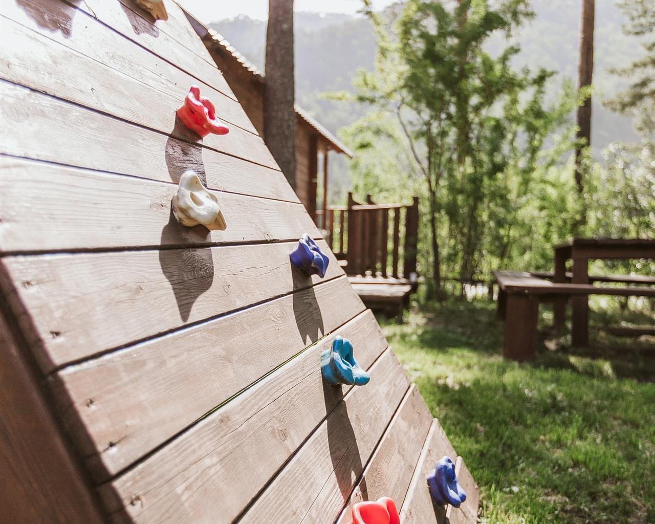 Алтай берег - фото 125