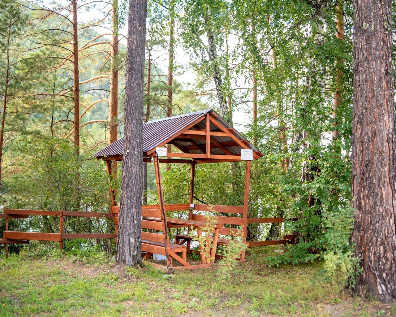 Алтай берег - фото 127