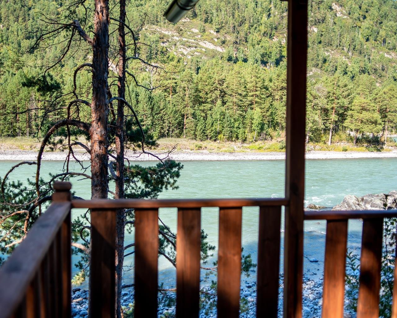 Алтай берег - фото 129