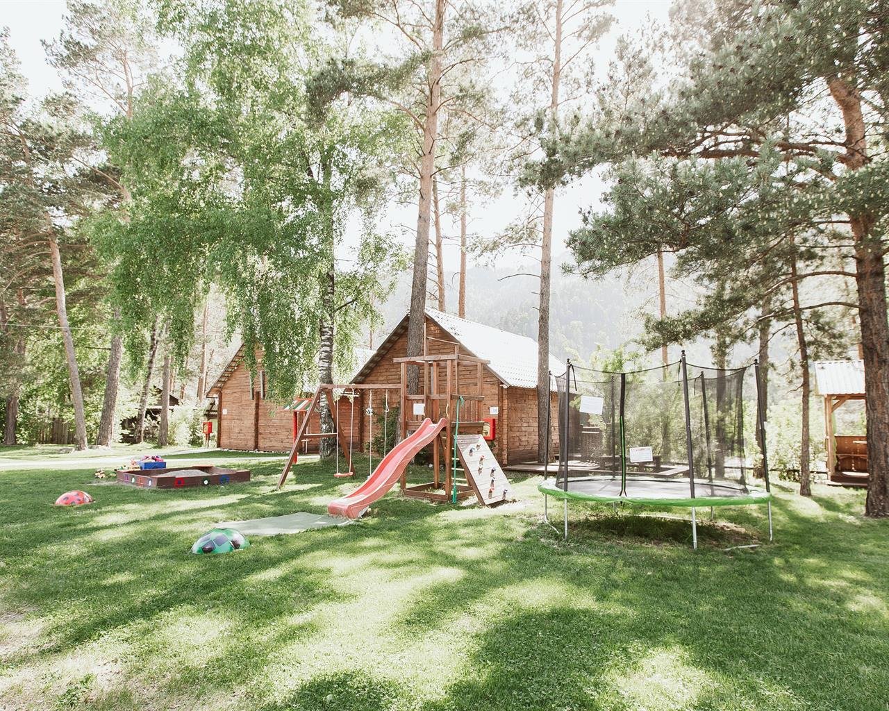 Алтай берег - фото 130