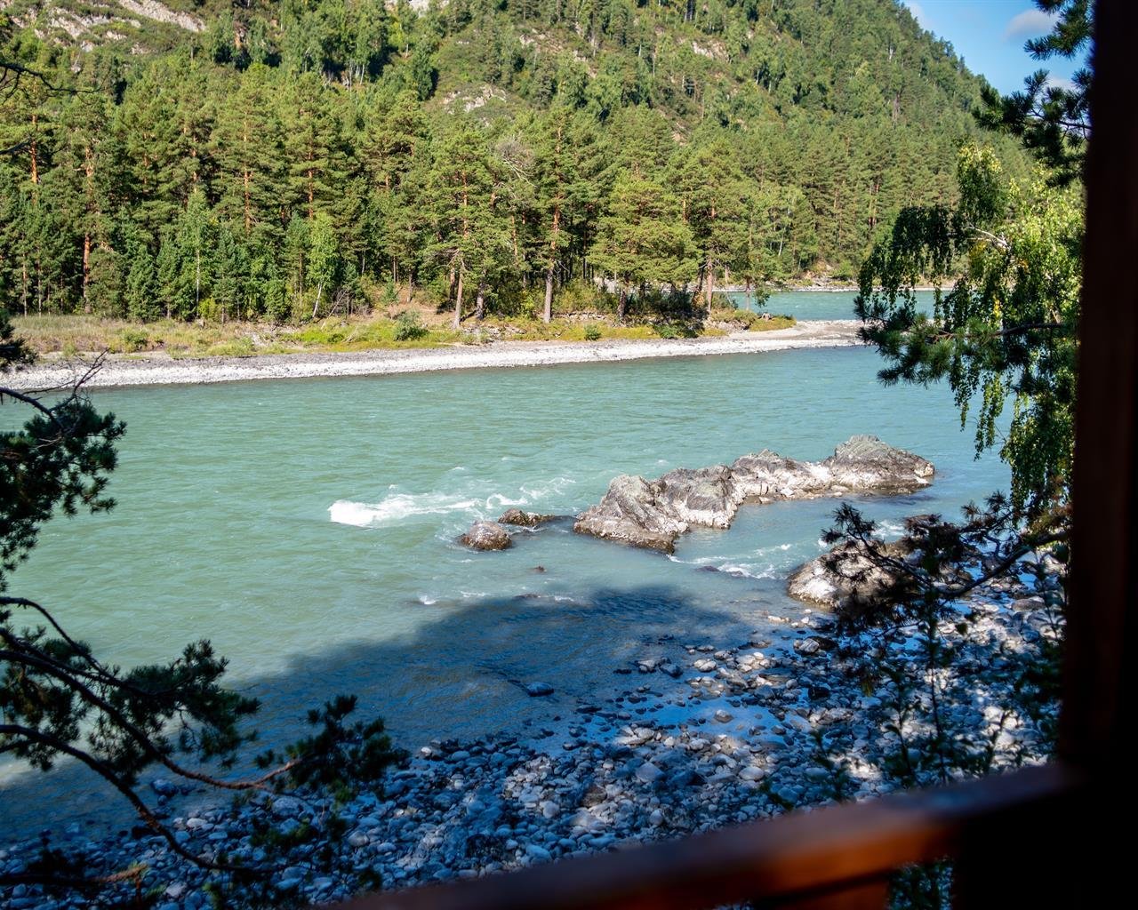 Алтай берег - фото 134