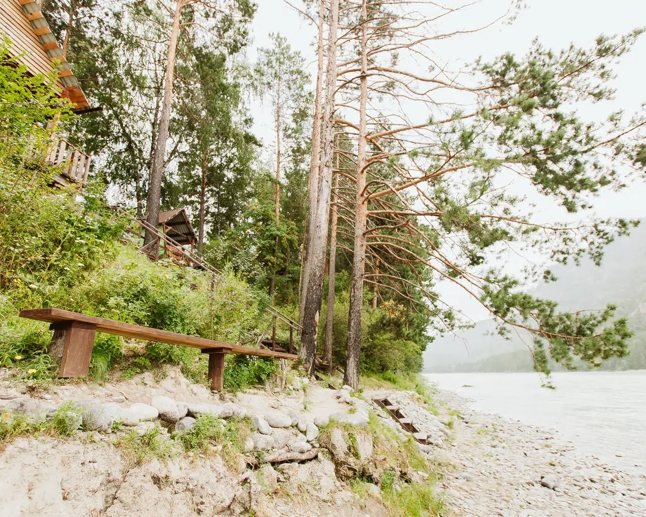 Алтай берег - фото 141