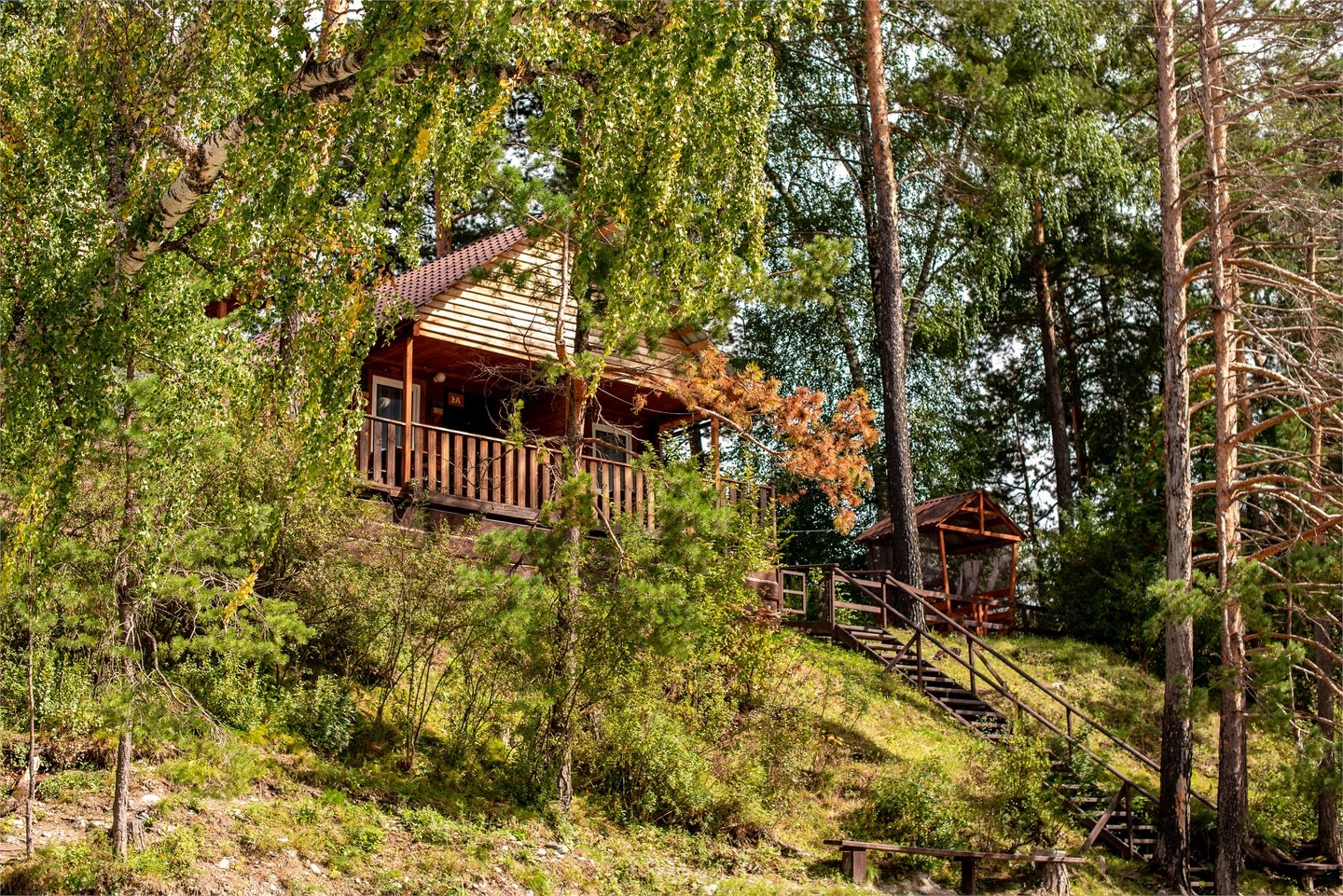 Дом Катунь - фото 16