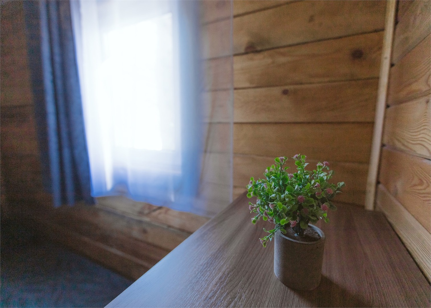 Апартаменты Катунь - фото 9