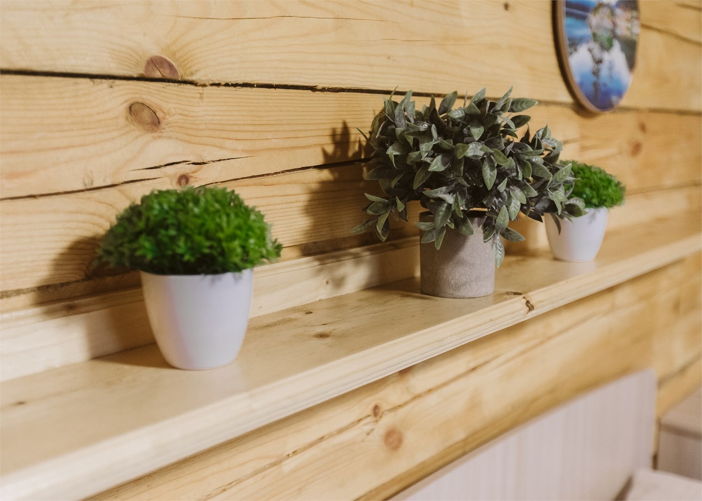 Апартаменты Катунь - фото 11