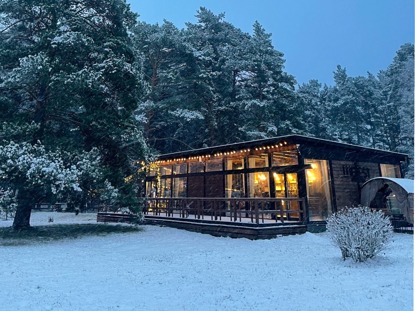 Шелест - фото 16