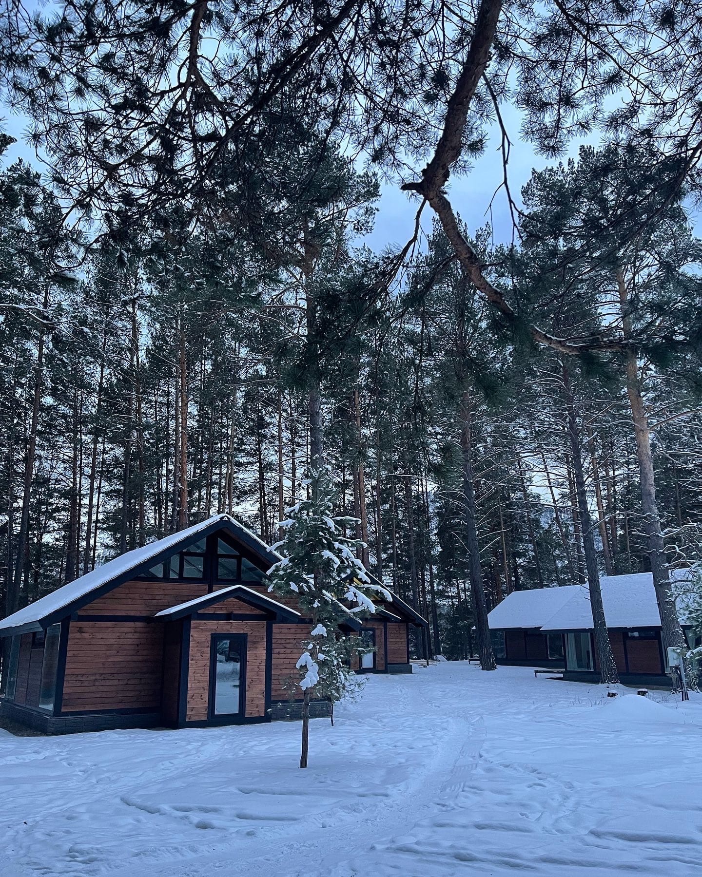 Шелест - фото 17