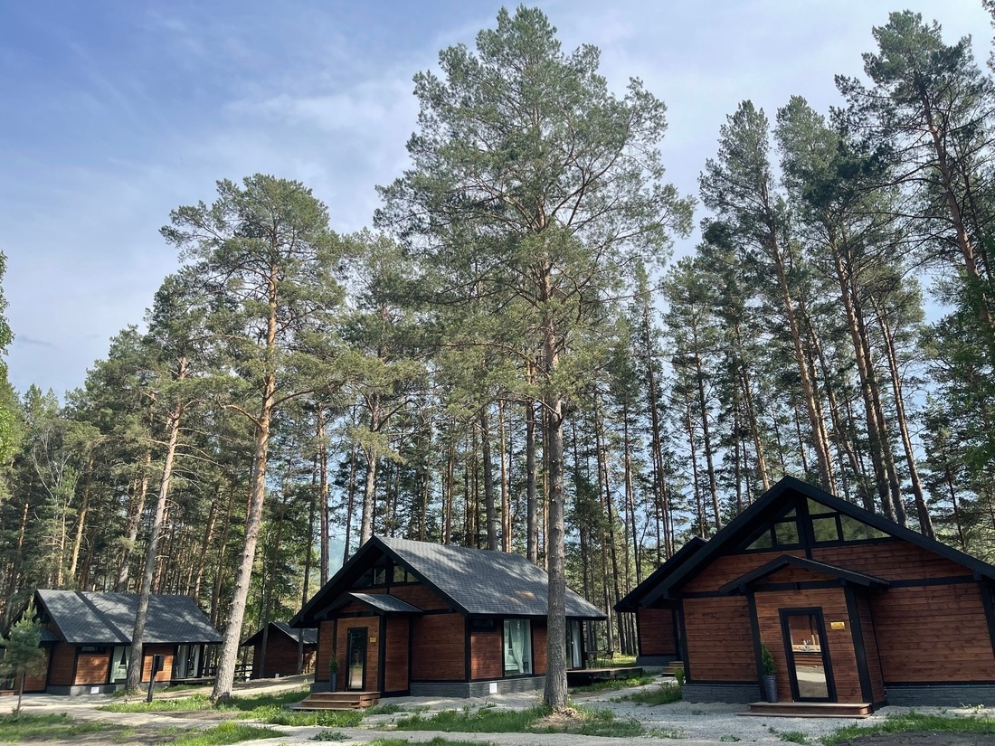 Шелест - фото 28