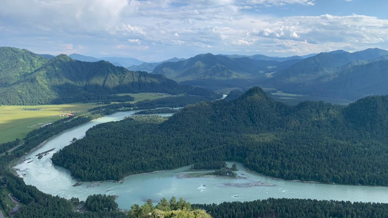 Шелест - фото 31