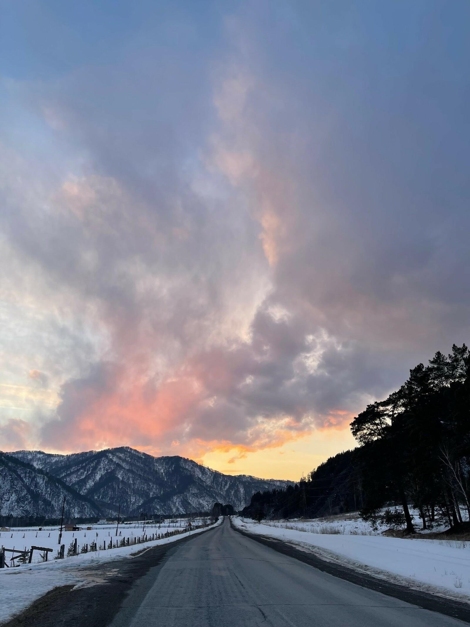 Шелест - фото 33