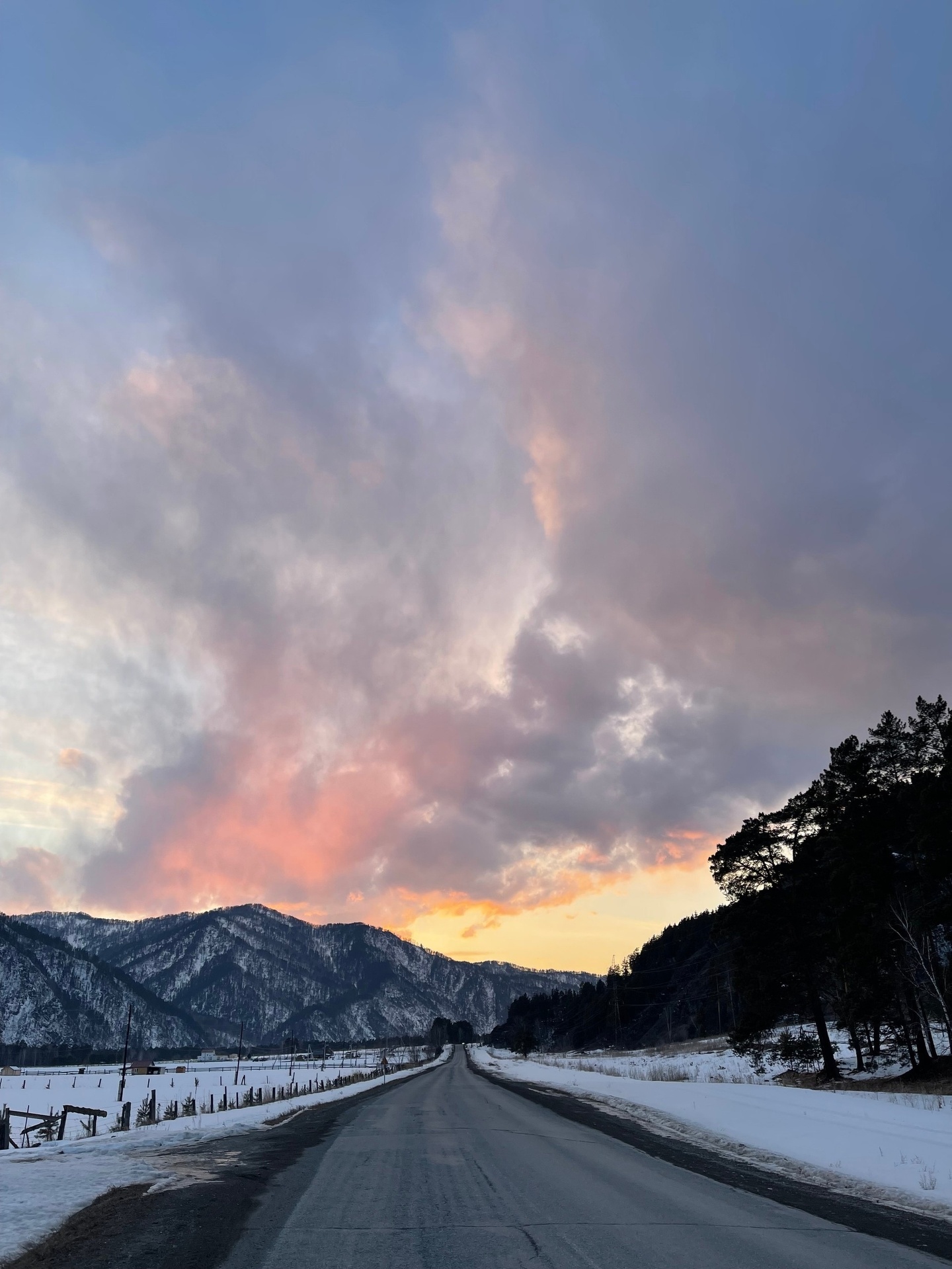 Шелест - фото 34