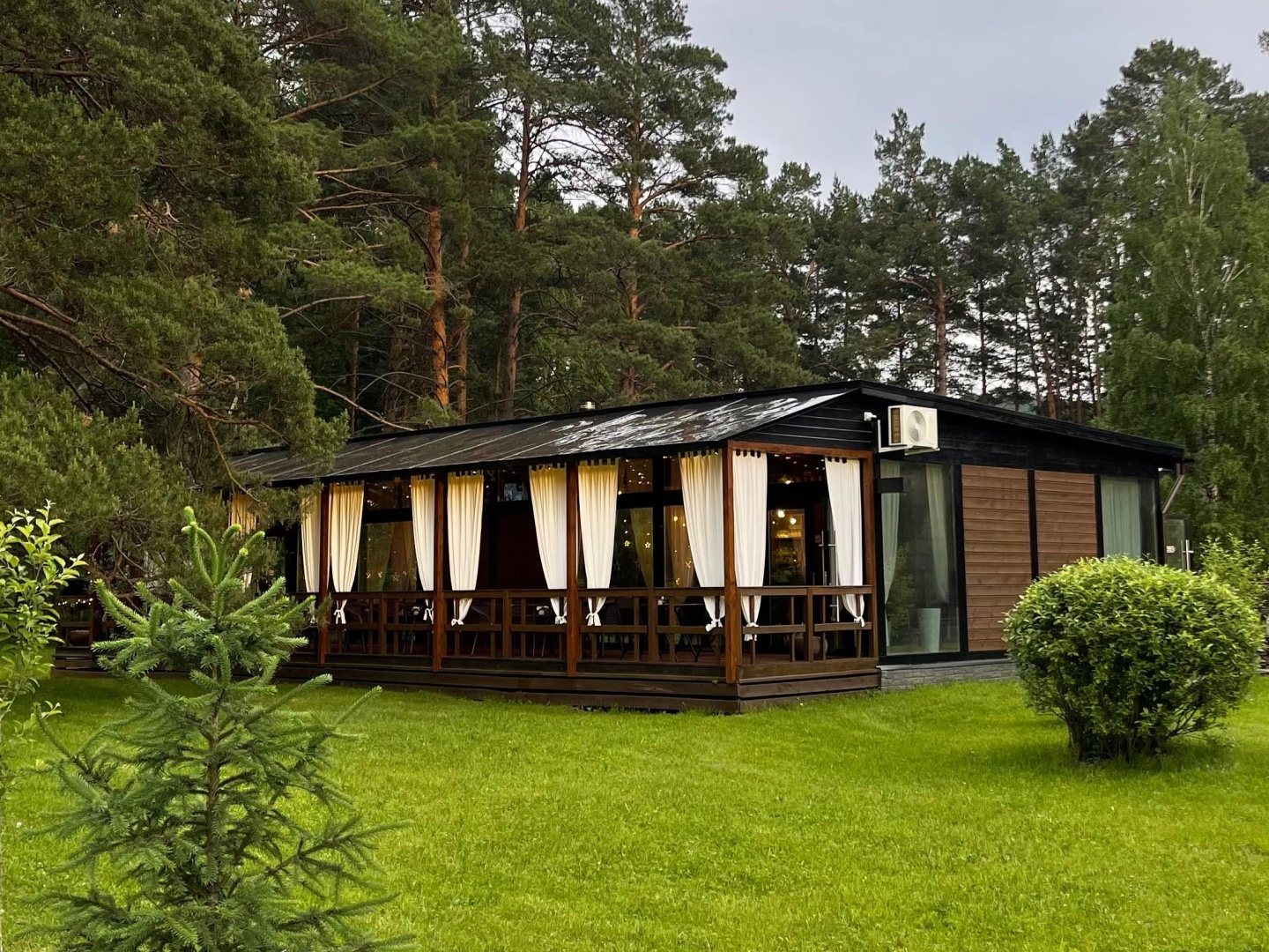 Шелест - фото 37