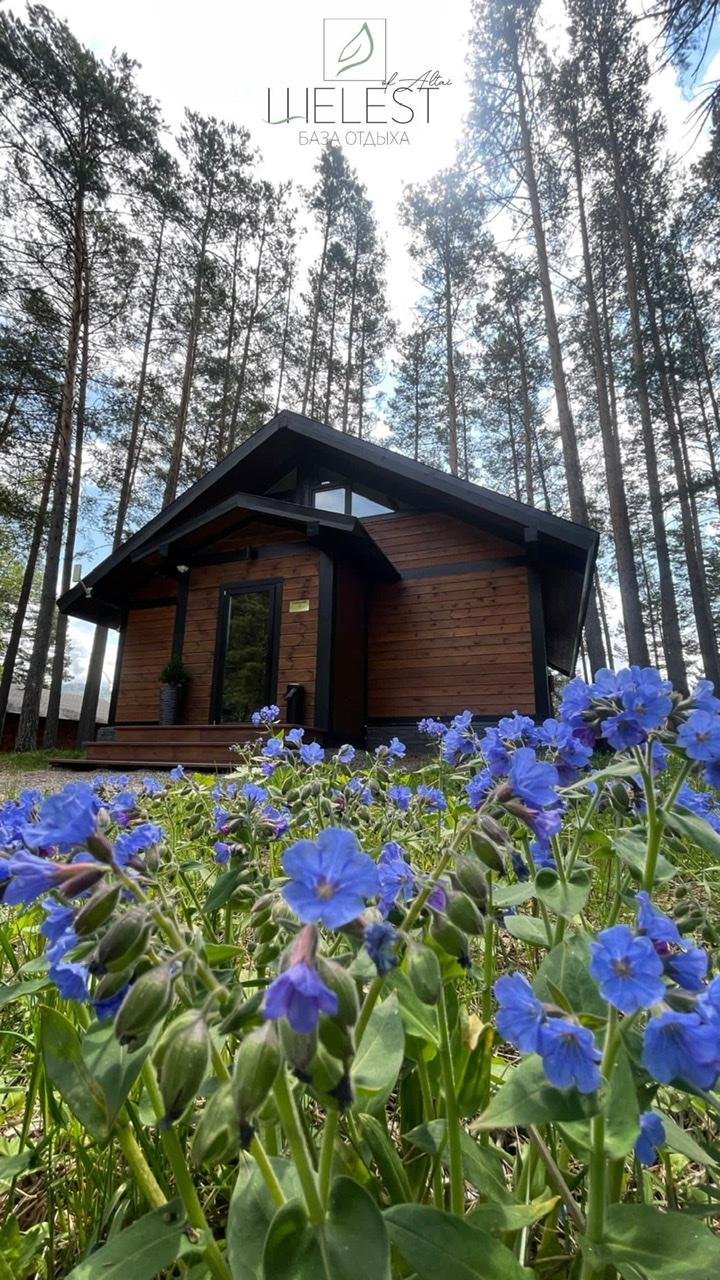 Шелест - фото 38