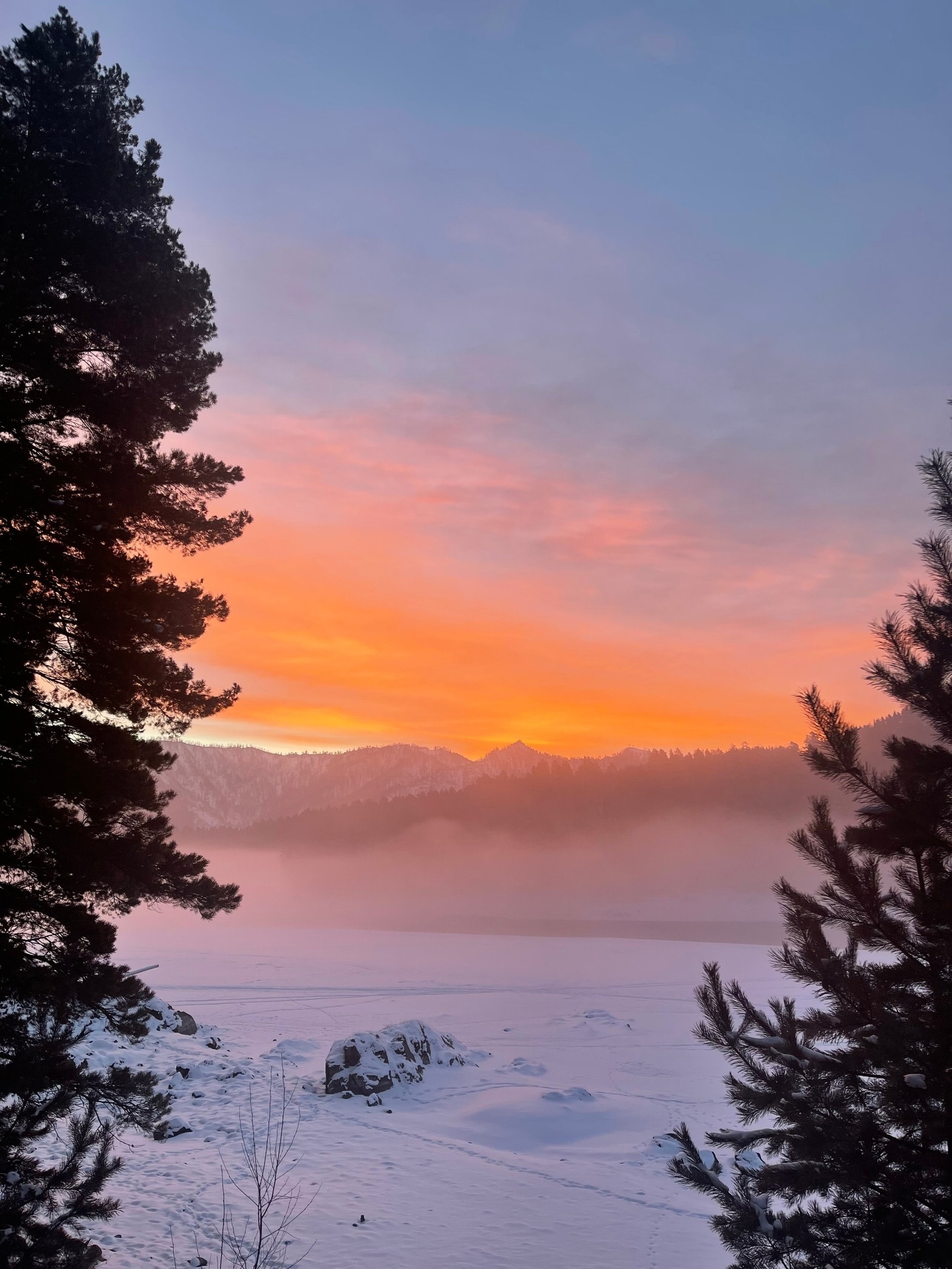 Шелест - фото 43