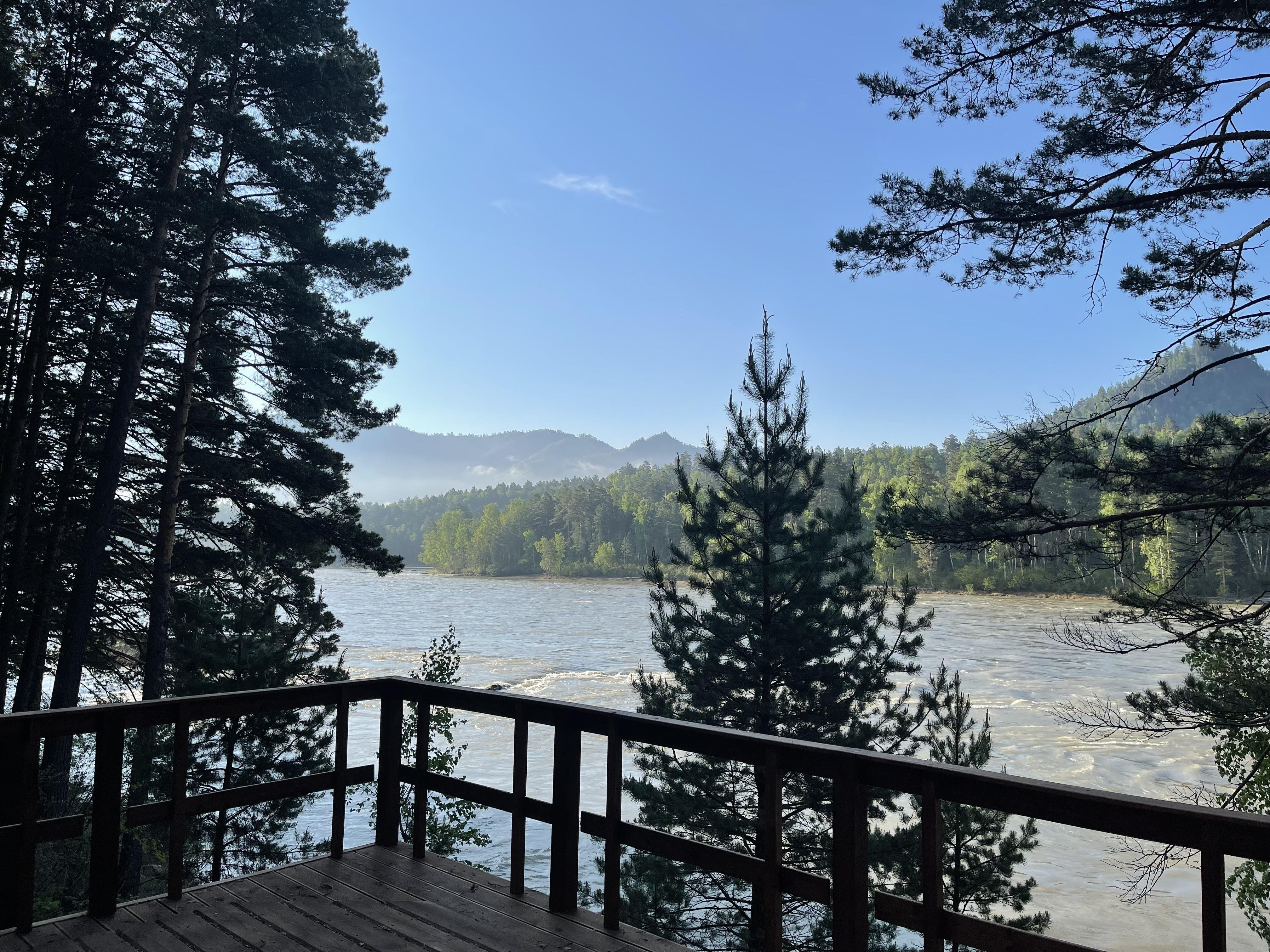 Шелест - фото 44