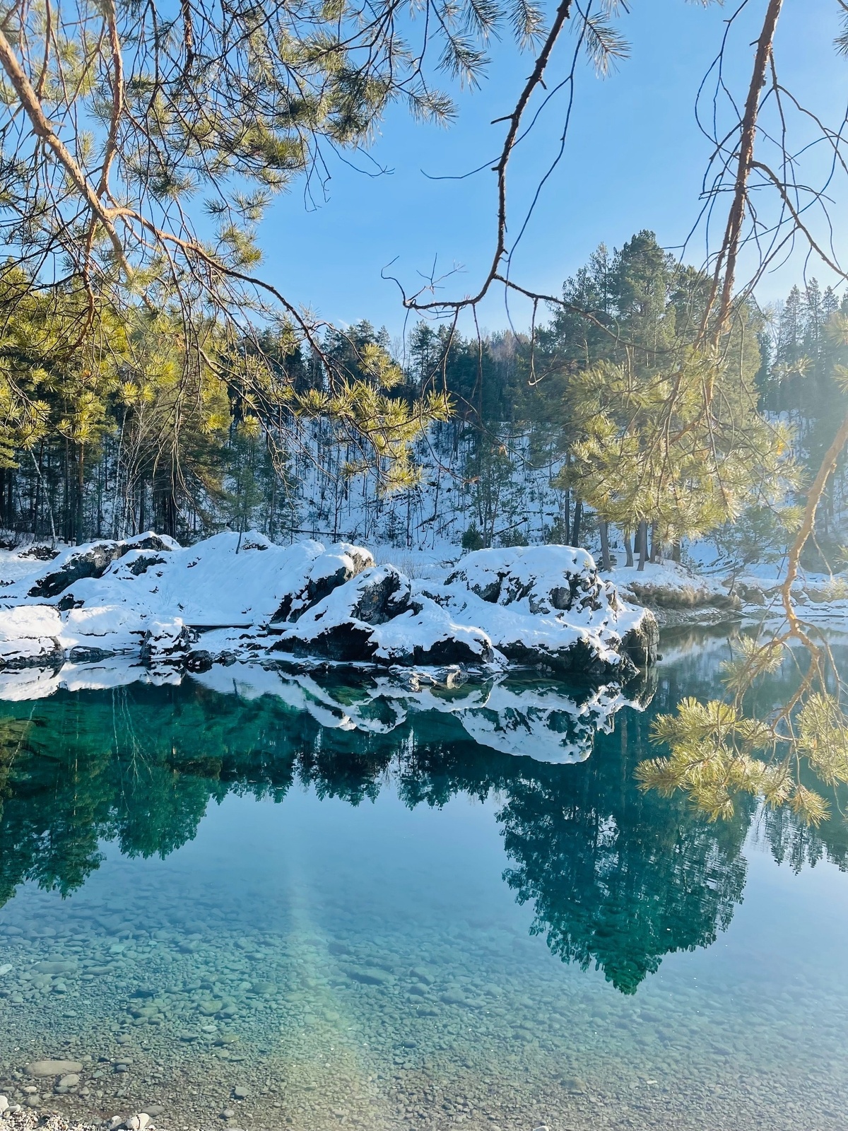 Шелест - фото 49