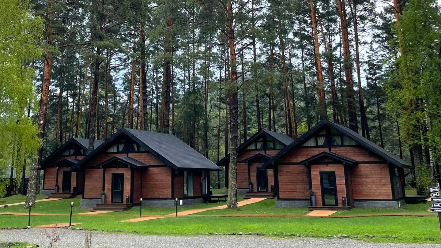 Шелест - фото 50