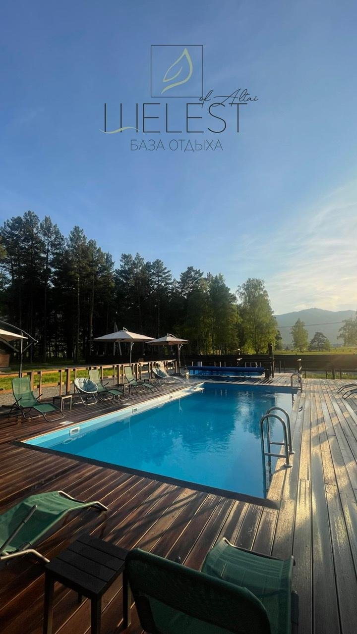 Шелест - фото 51