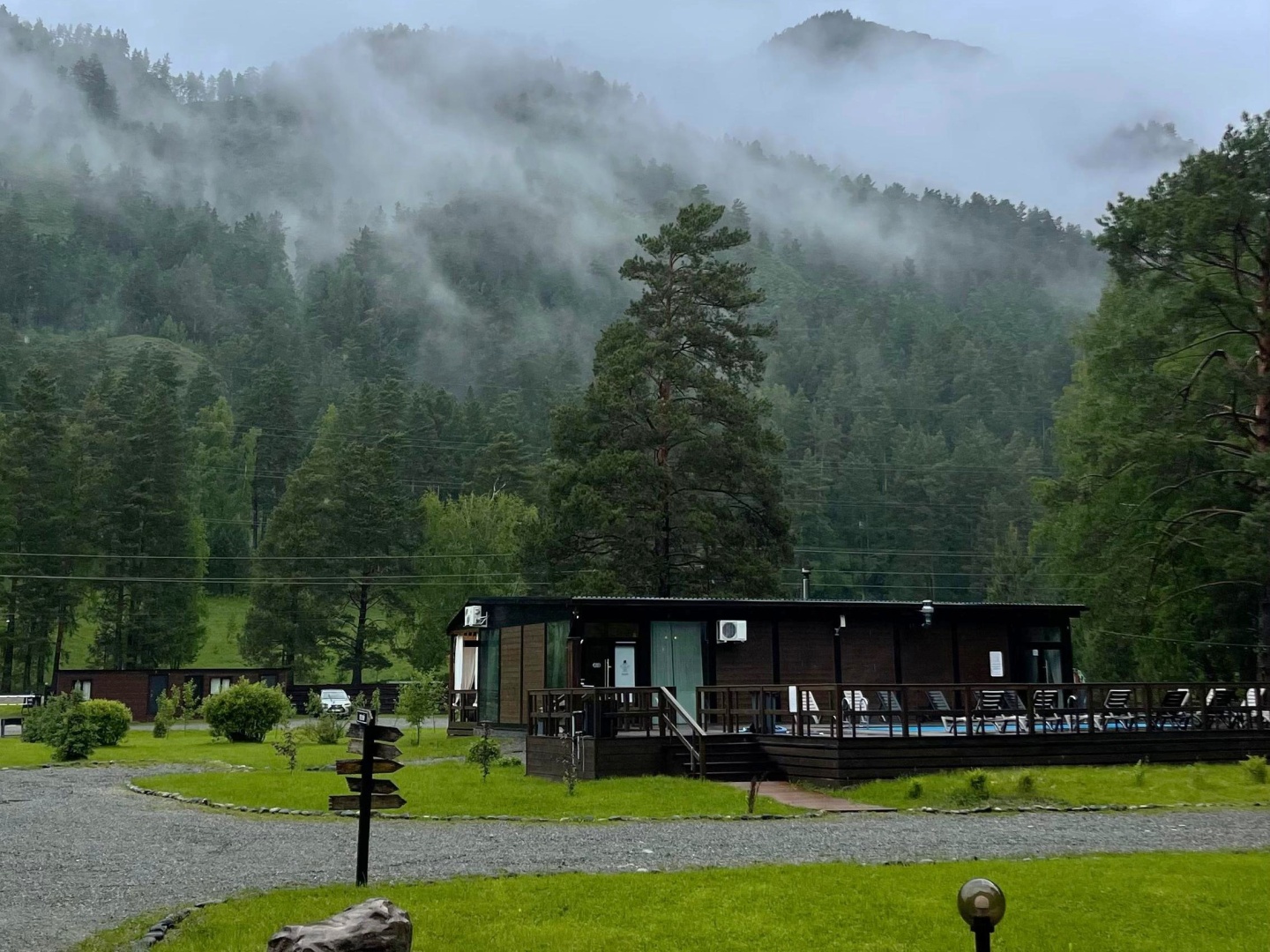 Шелест - фото 52