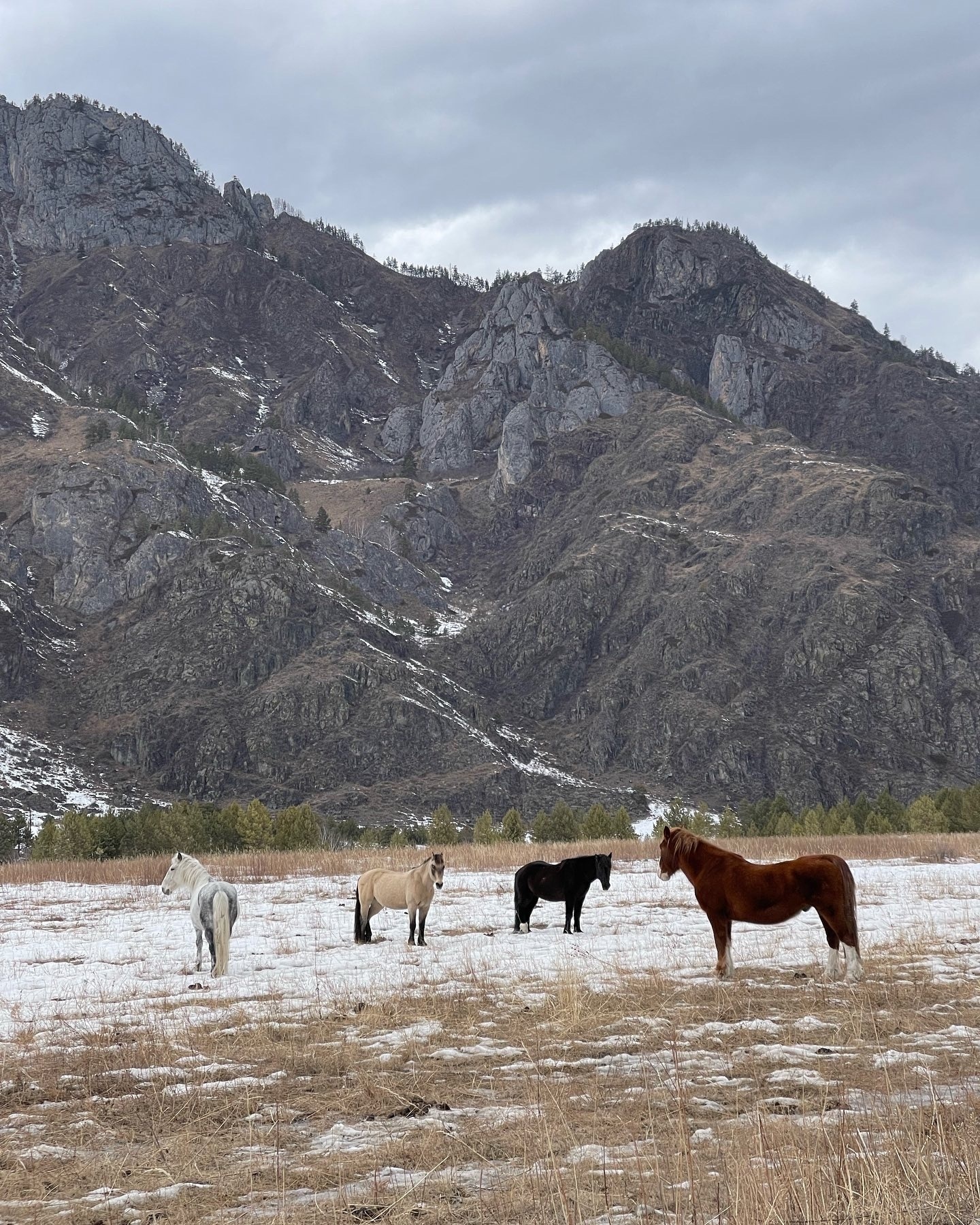Шелест - фото 56