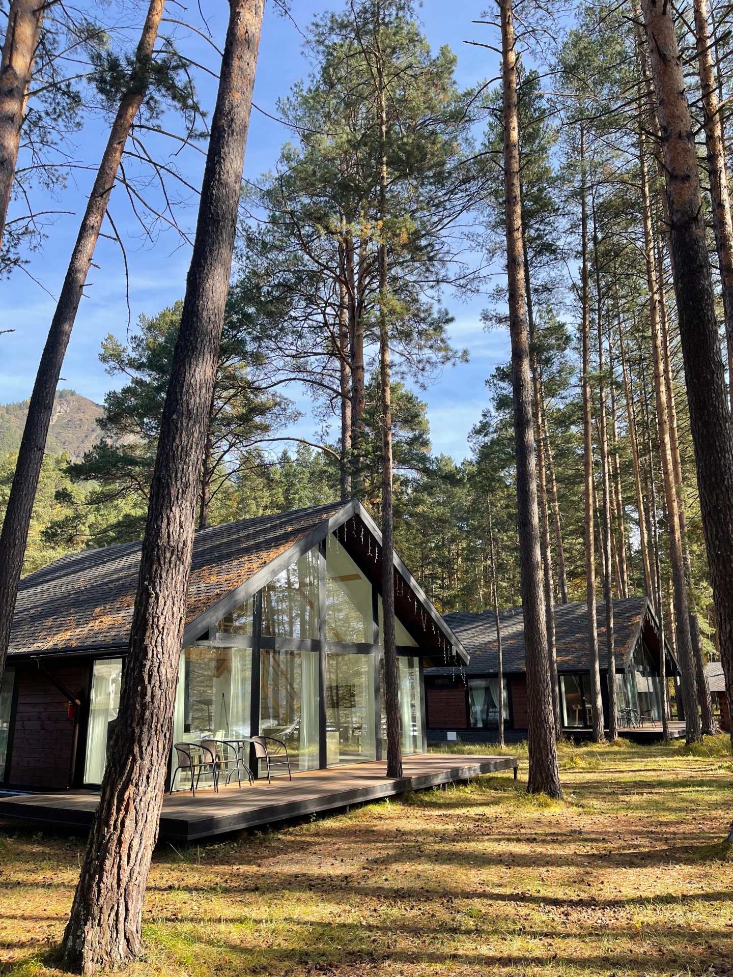 Шелест - фото 58