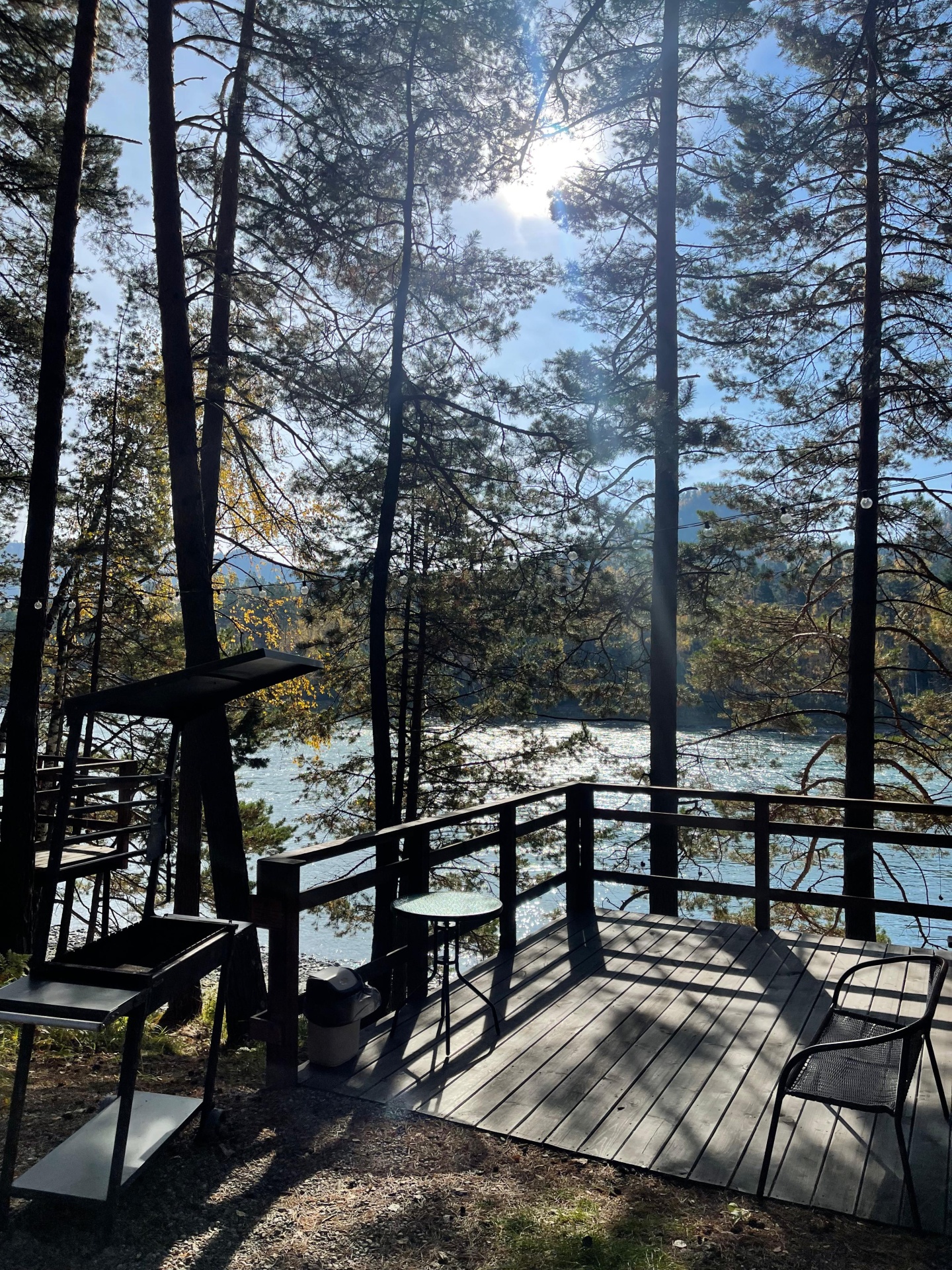 Шелест - фото 60