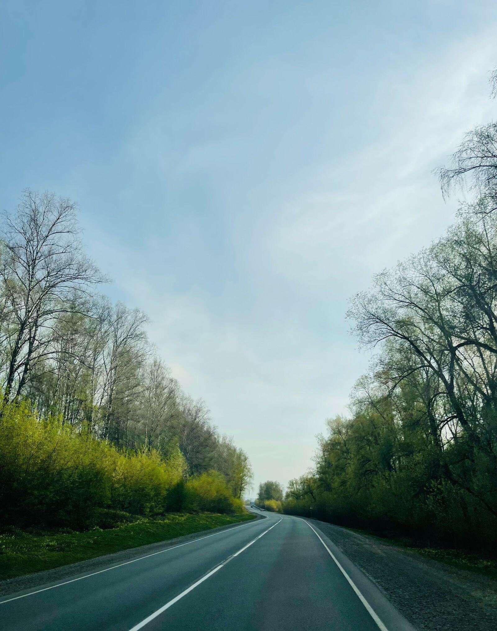 Шелест - фото 61