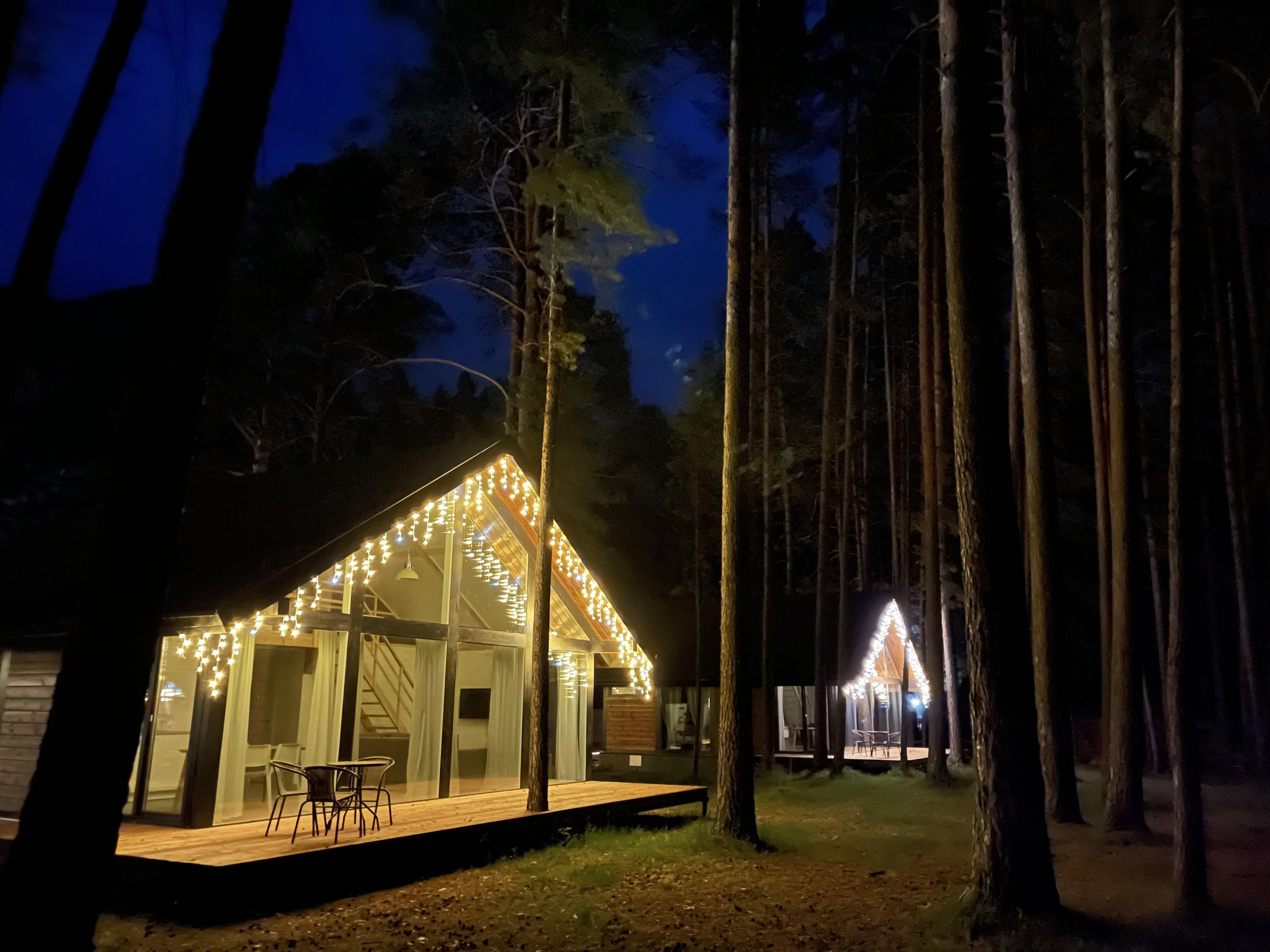 Шелест - фото 62