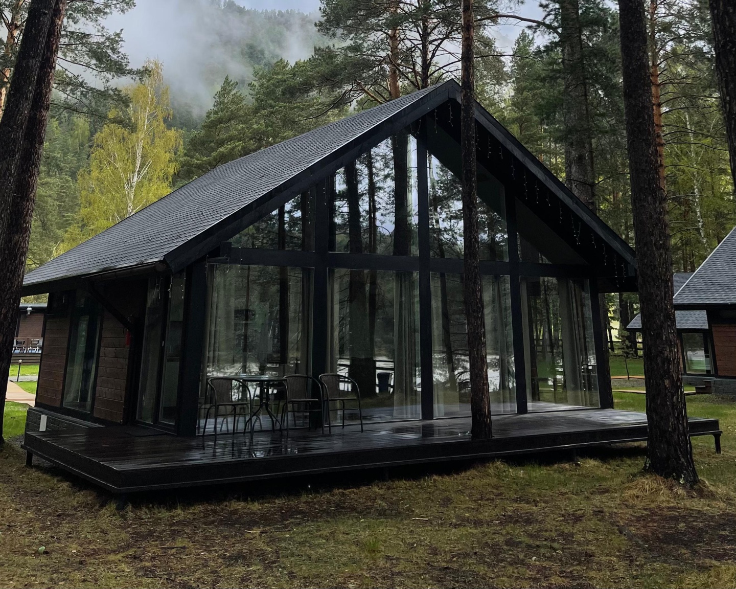 Шелест - фото 64