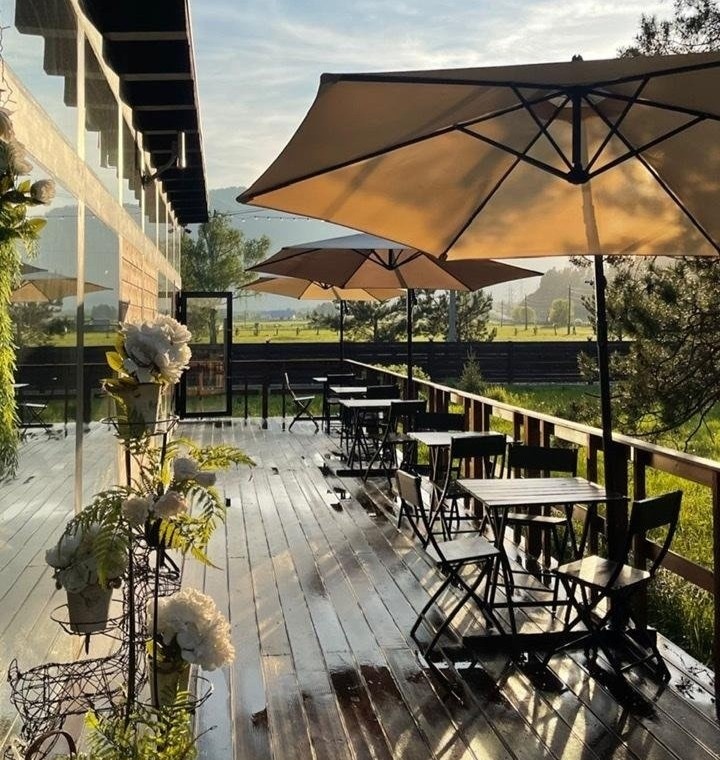 Шелест - фото 67