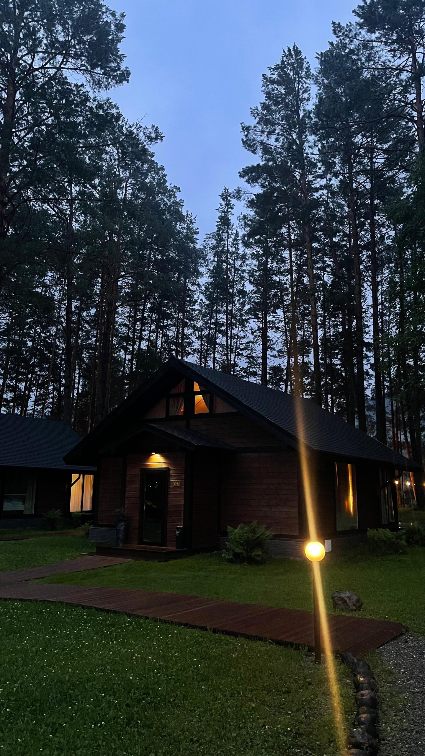 Шелест - фото 72