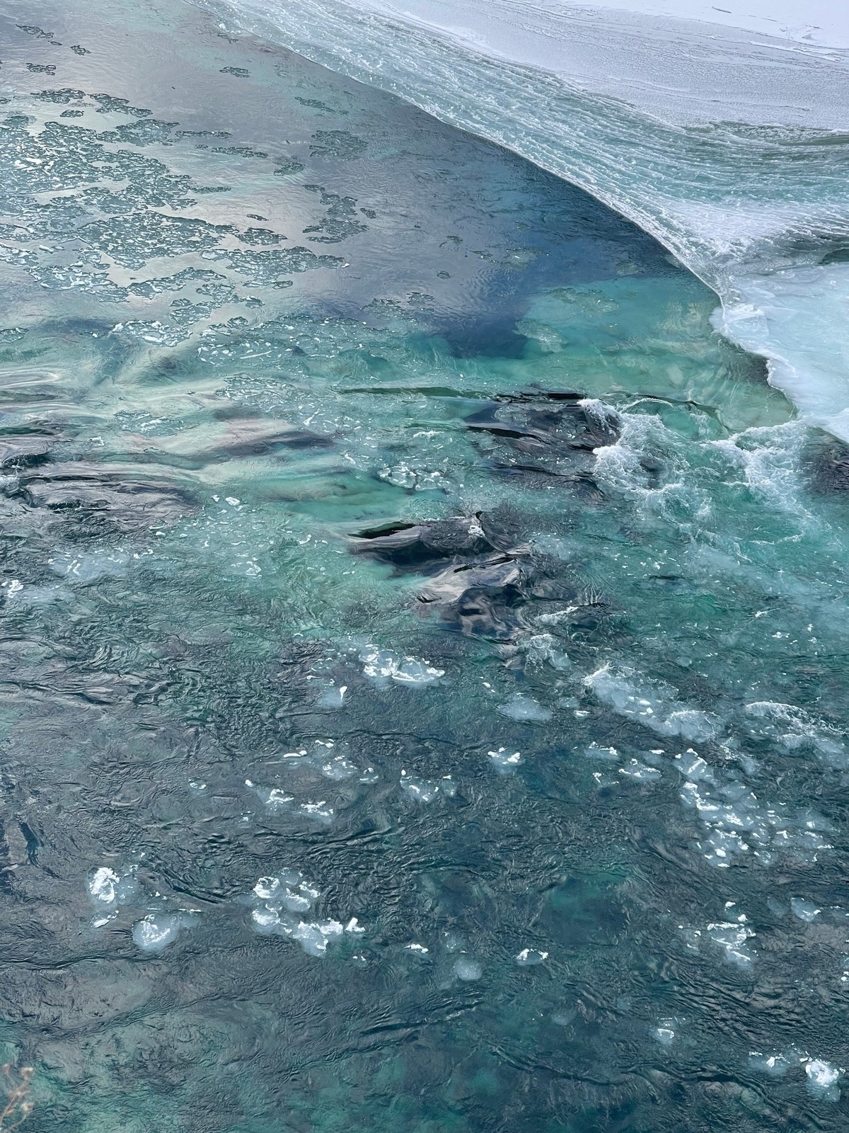 Шелест - фото 75