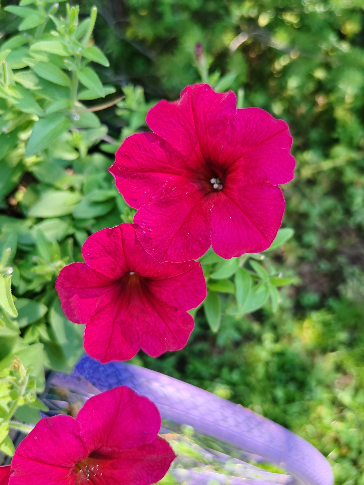 АртСвет - фото 17