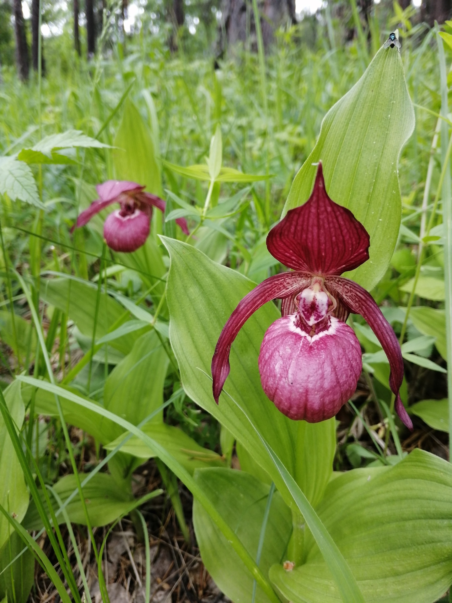 АртСвет - фото 76