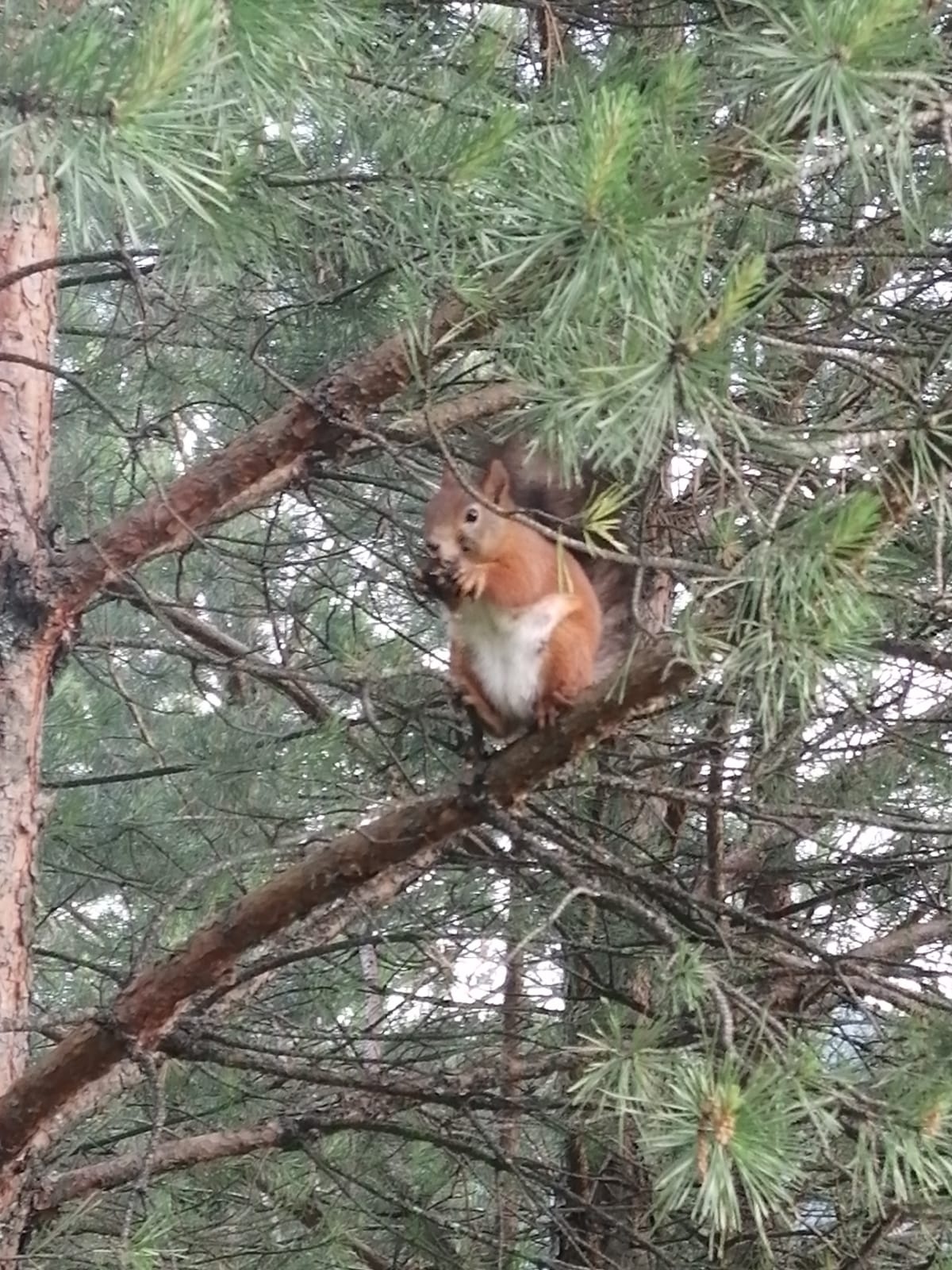 АртСвет - фото 135