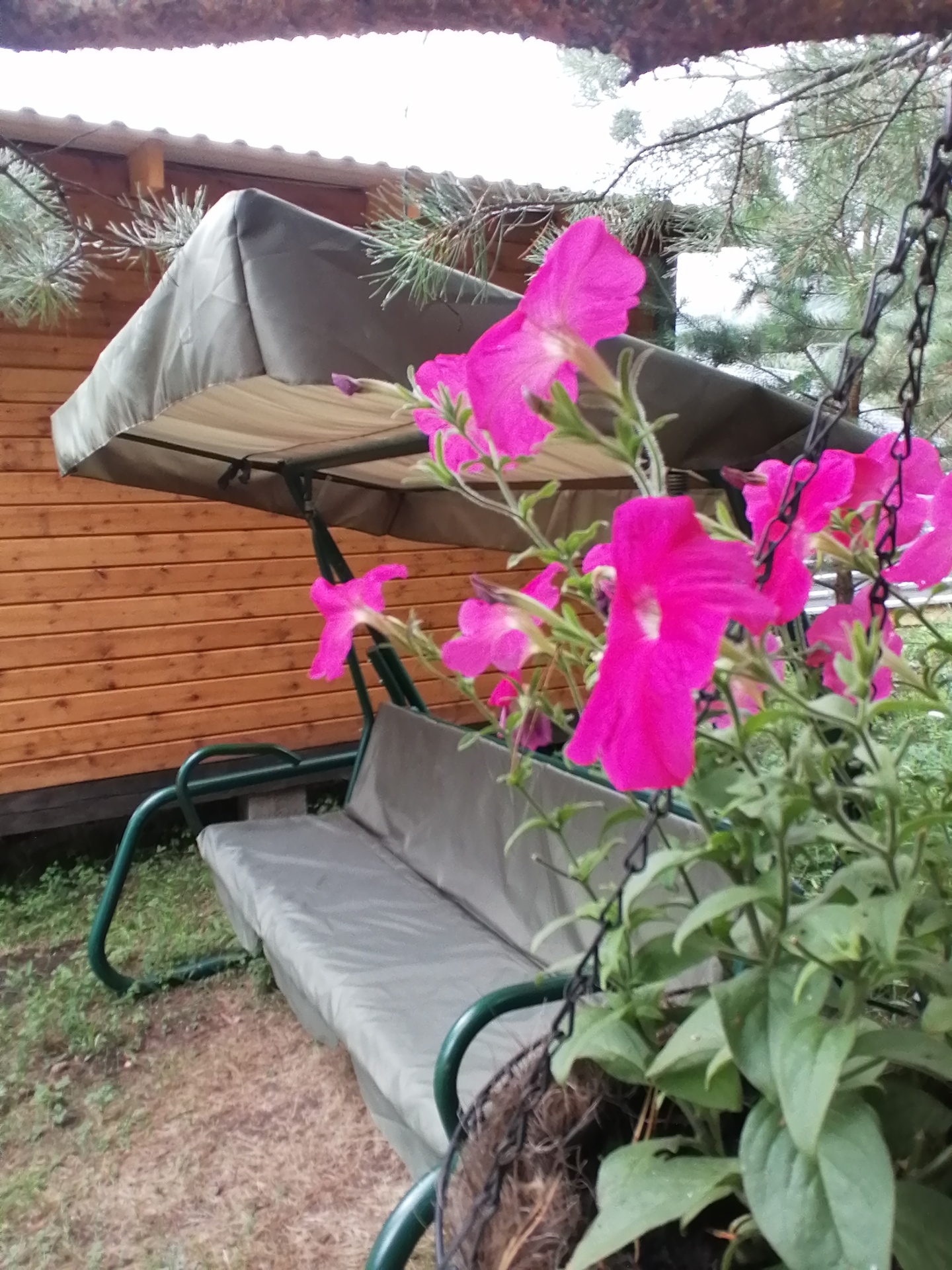 Дом - фото 19