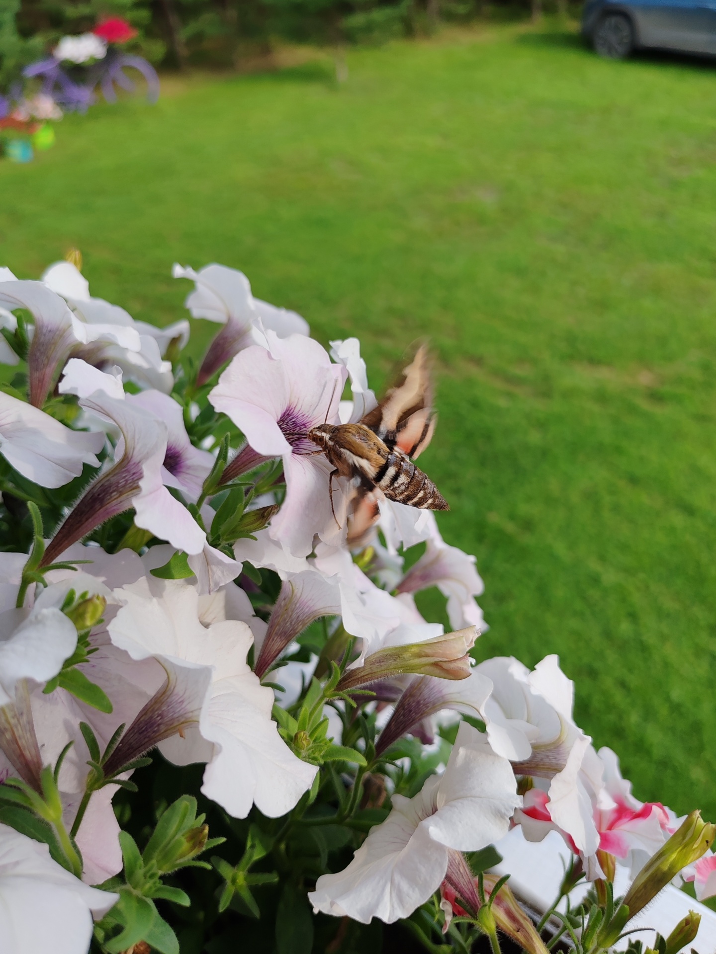 Дом - фото 35