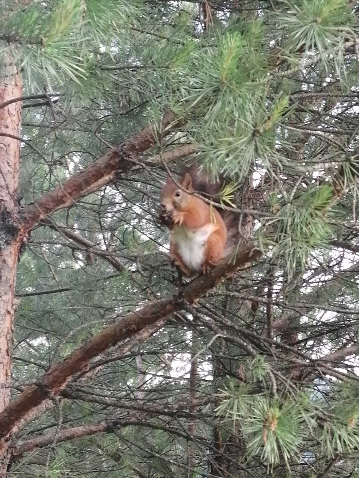 Дом - фото 44