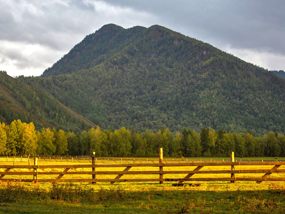 РОЩА парк-отель в горах Уймонской долины - фото 3
