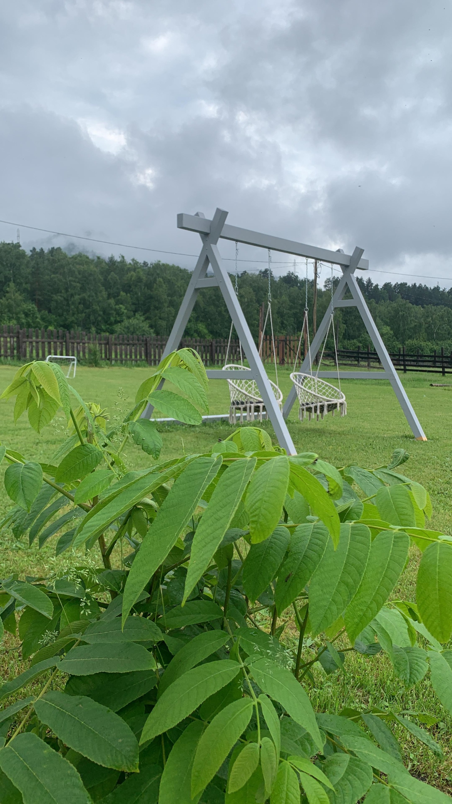 ЭкоРанчо - фото 64