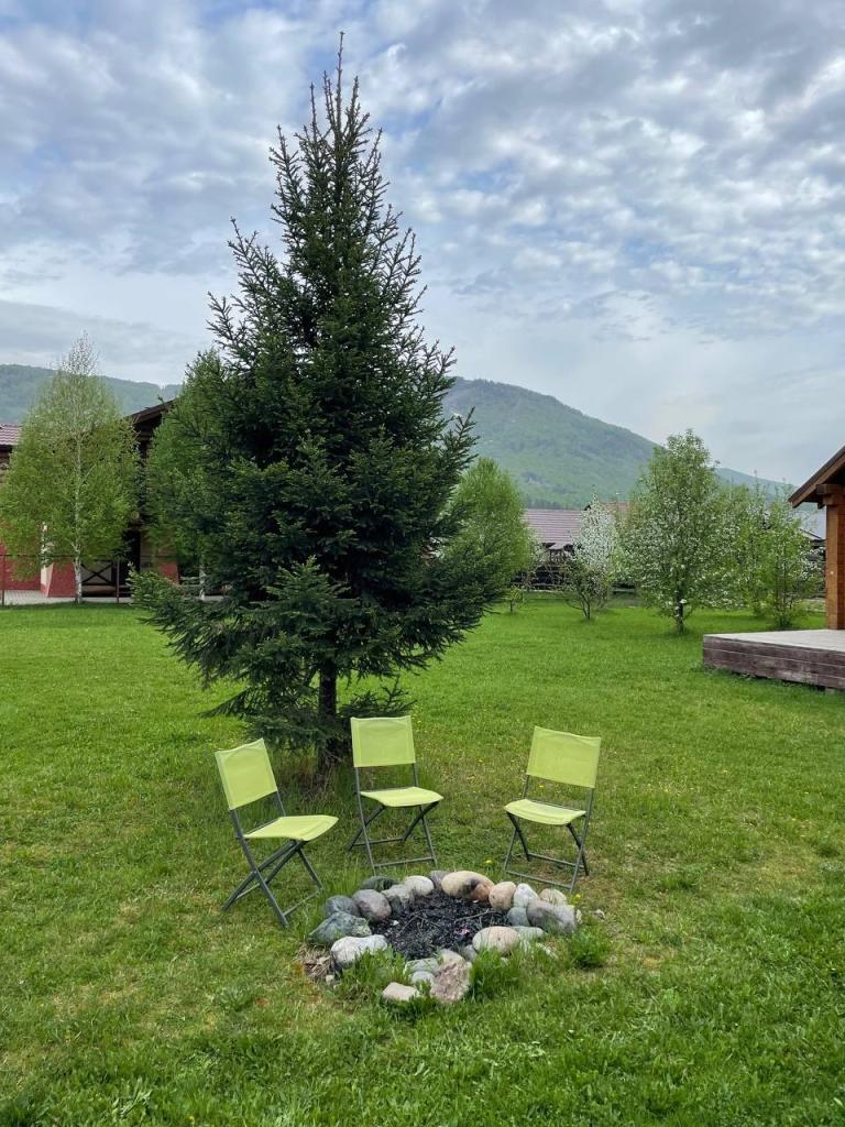 Солнечный луч - фото 7