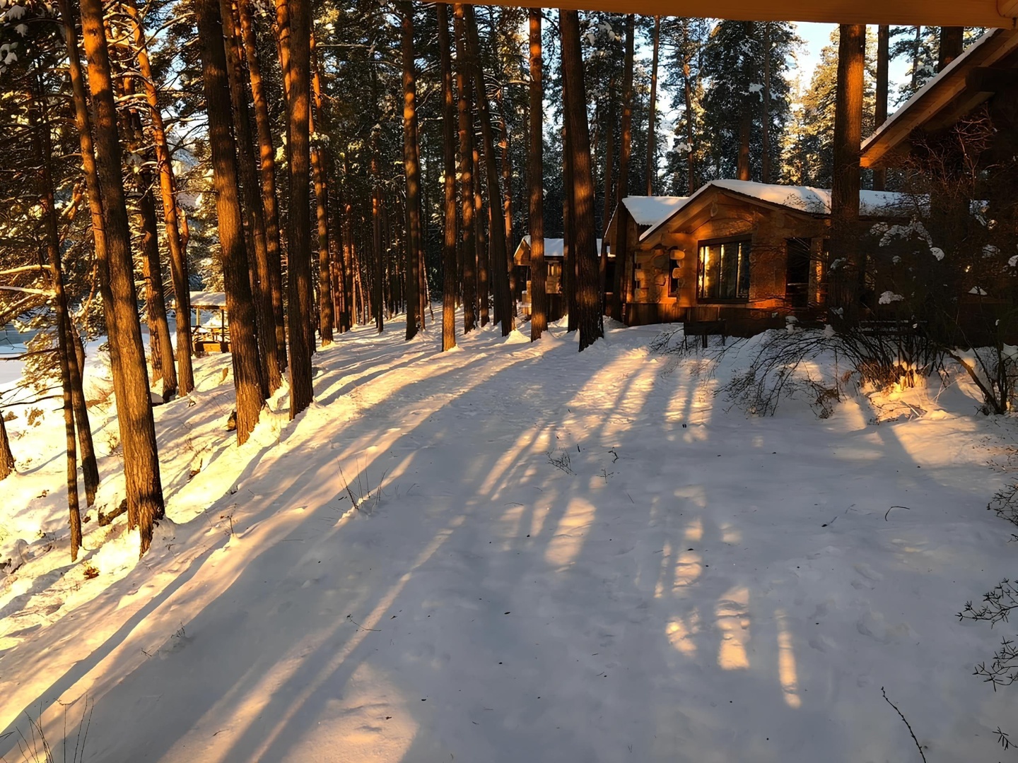 Altay Sense - фото 30