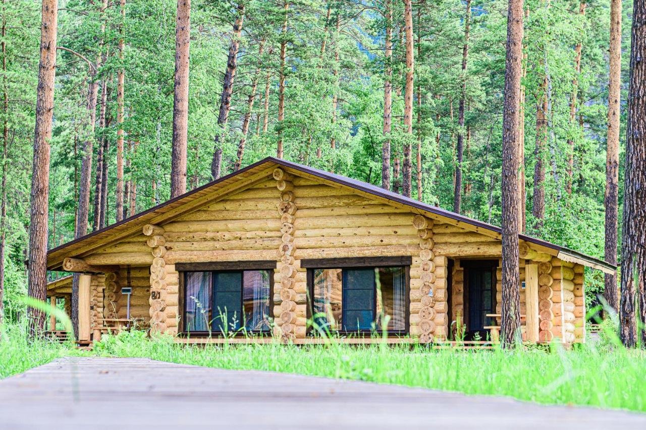 Altay Sense - фото 37