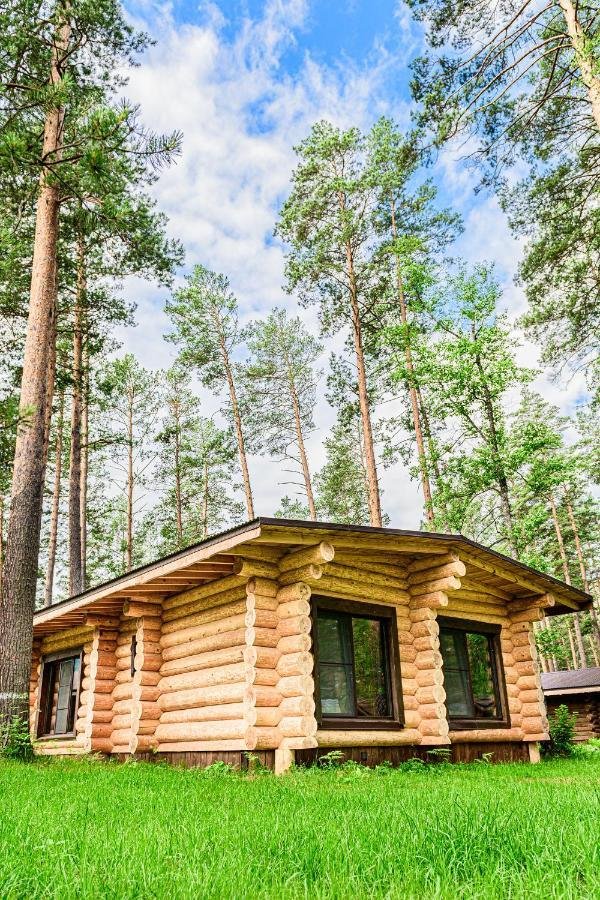 Altay Sense - фото 39