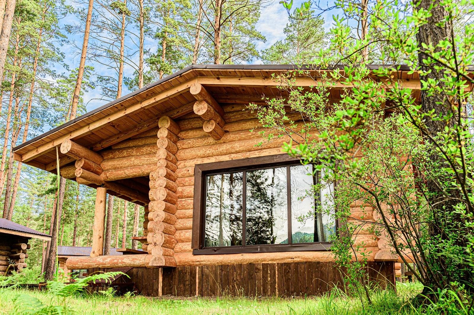 Altay Sense - фото 42