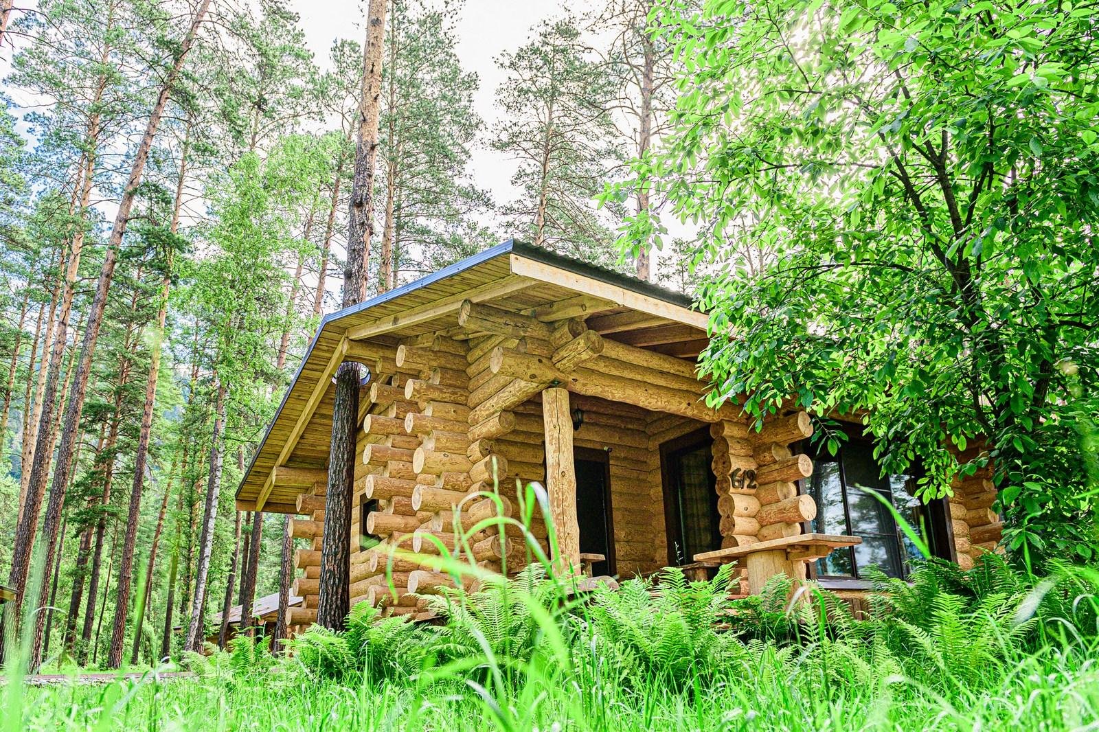 Altay Sense - фото 54