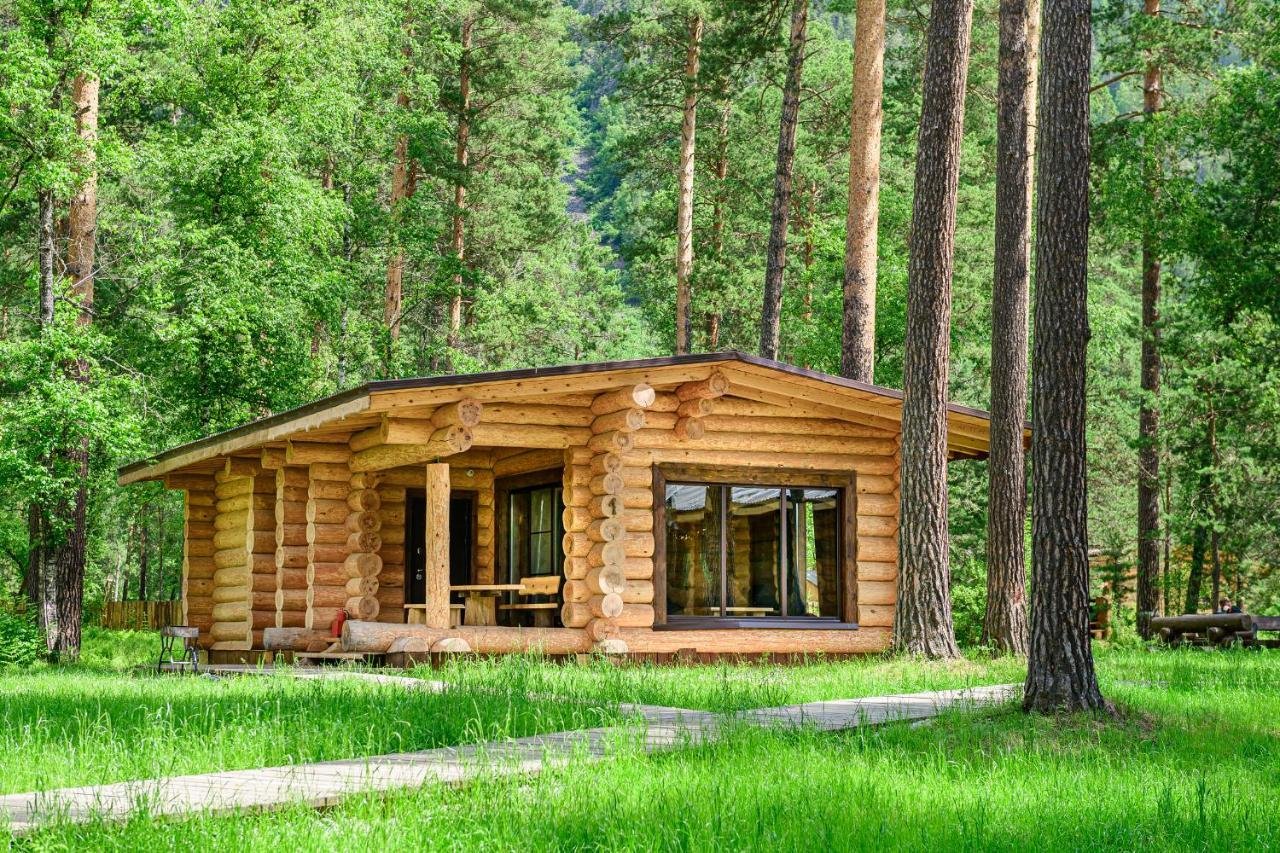 Altay Sense - фото 55